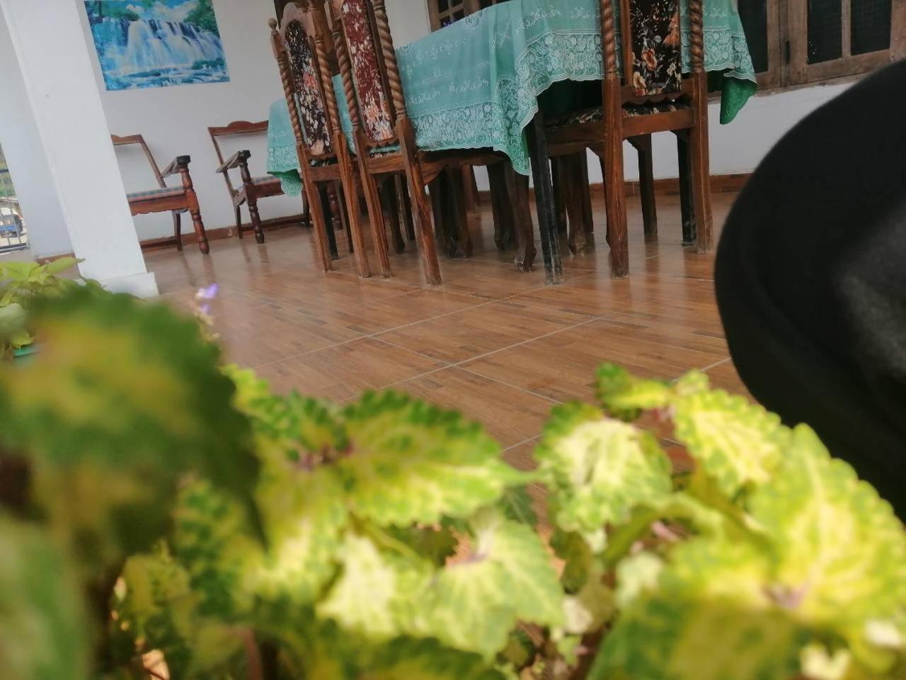 Thilini Homestay Ella Exteriér fotografie